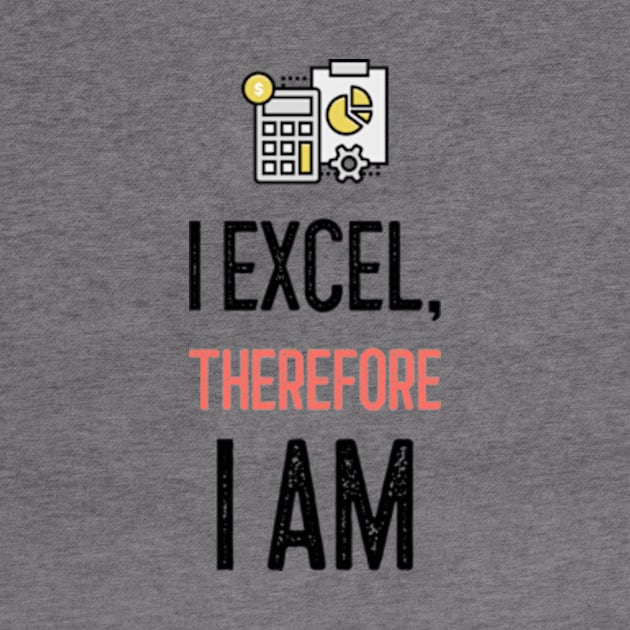 I Excel, Therefore I am by Life of an Accountant